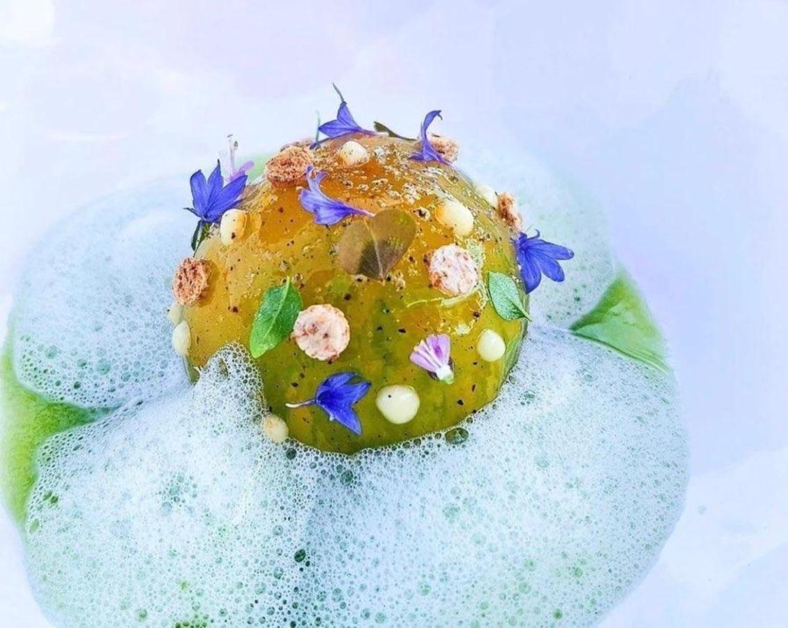 Villa Les Glycines 레지상브르 외부 사진